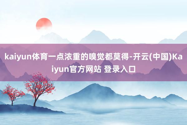 kaiyun体育一点浓重的嗅觉都莫得-开云(中国)Kaiyun官方网站 登录入口