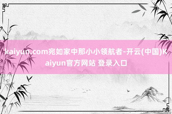 kaiyun.com宛如家中那小小领航者-开云(中国)Kaiyun官方网站 登录入口