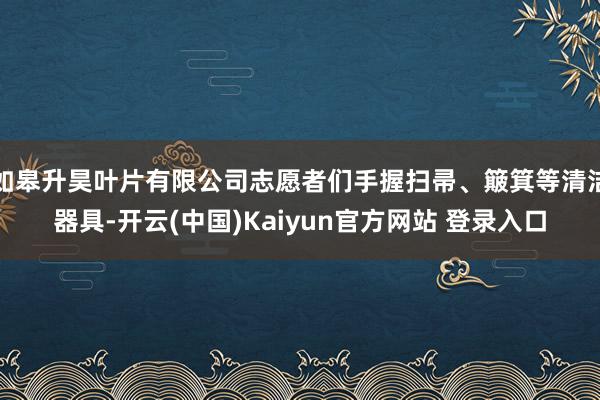 如皋升昊叶片有限公司志愿者们手握扫帚、簸箕等清洁器具-开云(中国)Kaiyun官方网站 登录入口