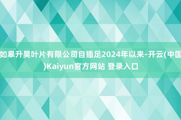如皋升昊叶片有限公司自插足2024年以来-开云(中国)Kaiyun官方网站 登录入口