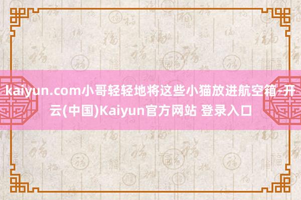kaiyun.com小哥轻轻地将这些小猫放进航空箱-开云(中国)Kaiyun官方网站 登录入口