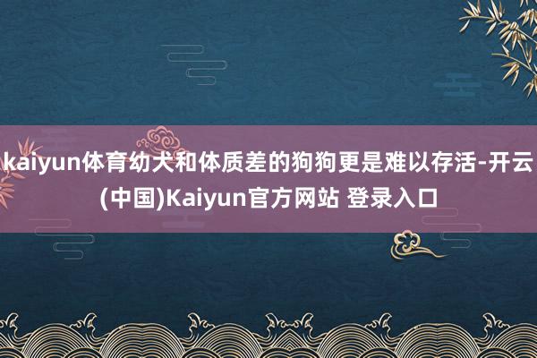 kaiyun体育幼犬和体质差的狗狗更是难以存活-开云(中国)Kaiyun官方网站 登录入口
