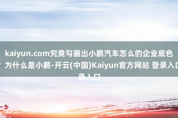 kaiyun.com究竟勾画出小鹏汽车怎么的企业底色?为什么是小鹏-开云(中国)Kaiyun官方网站 登录入口