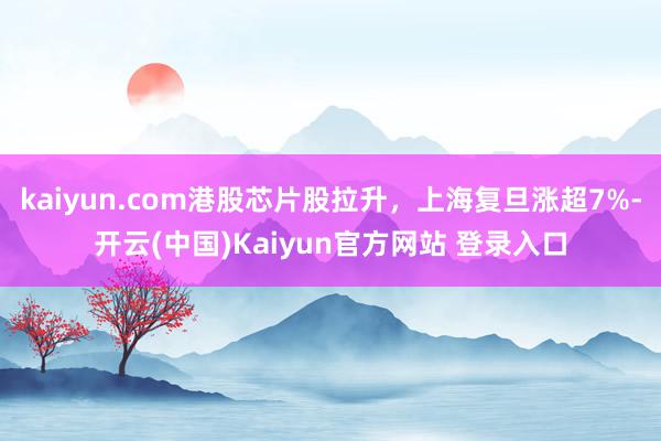kaiyun.com港股芯片股拉升，上海复旦涨超7%-开云(中国)Kaiyun官方网站 登录入口