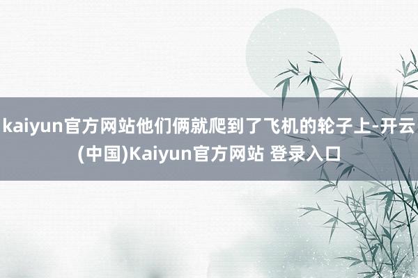kaiyun官方网站他们俩就爬到了飞机的轮子上-开云(中国)Kaiyun官方网站 登录入口