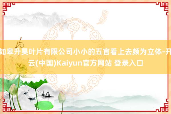 如皋升昊叶片有限公司小小的五官看上去颇为立体-开云(中国)Kaiyun官方网站 登录入口