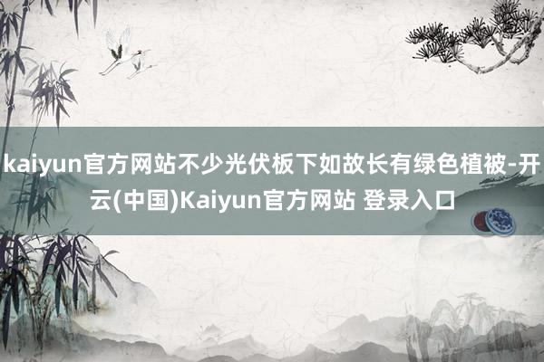 kaiyun官方网站不少光伏板下如故长有绿色植被-开云(中国)Kaiyun官方网站 登录入口