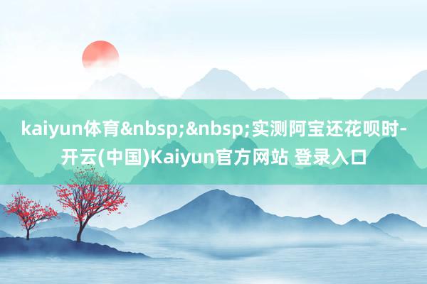 kaiyun体育&nbsp;&nbsp;实测阿宝还花呗时-开云(中国)Kaiyun官方网站 登录入口