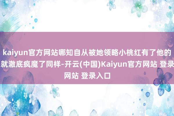kaiyun官方网站哪知自从被她领略小桃红有了他的孩子就澈底疯魔了同样-开云(中国)Kaiyun官方网站 登录入口