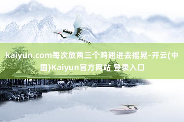 kaiyun.com每次放两三个鸡翅进去摇晃-开云(中国)Kaiyun官方网站 登录入口